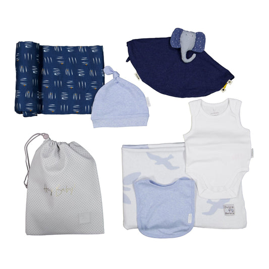 Baby Boy Prince Gift Set